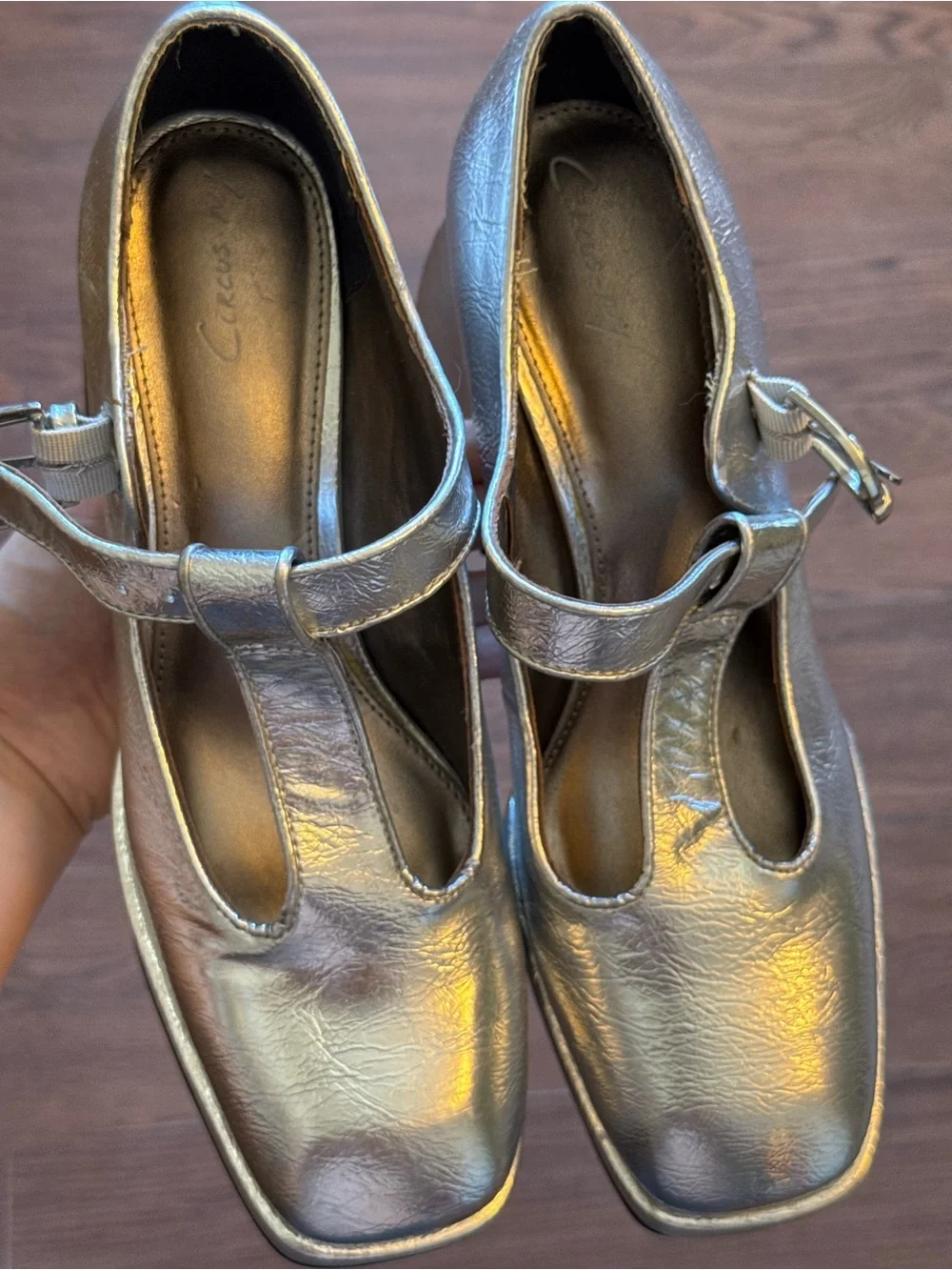 Sam Eddlemon Circus Metallic Silver Mary Jane Platform Heels